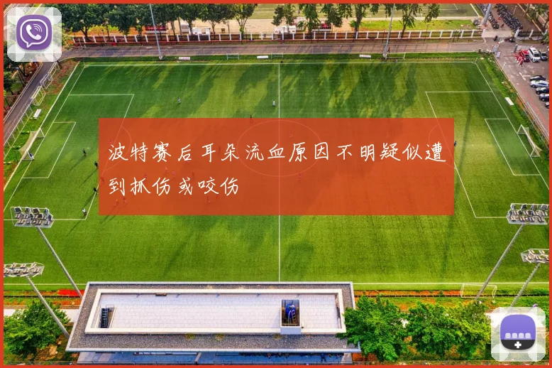 波特赛后耳朵流血原因不明疑似遭到抓伤或咬伤
