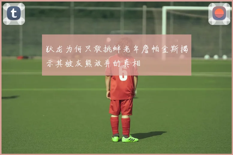 狄龙为何只敢挑衅老年詹帕金斯揭示其被灰熊放弃的真相