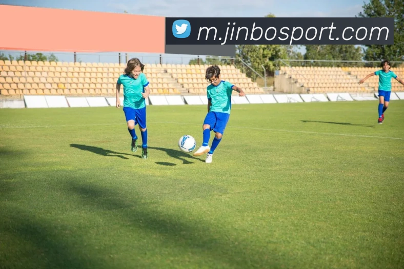 金博体育发展历程